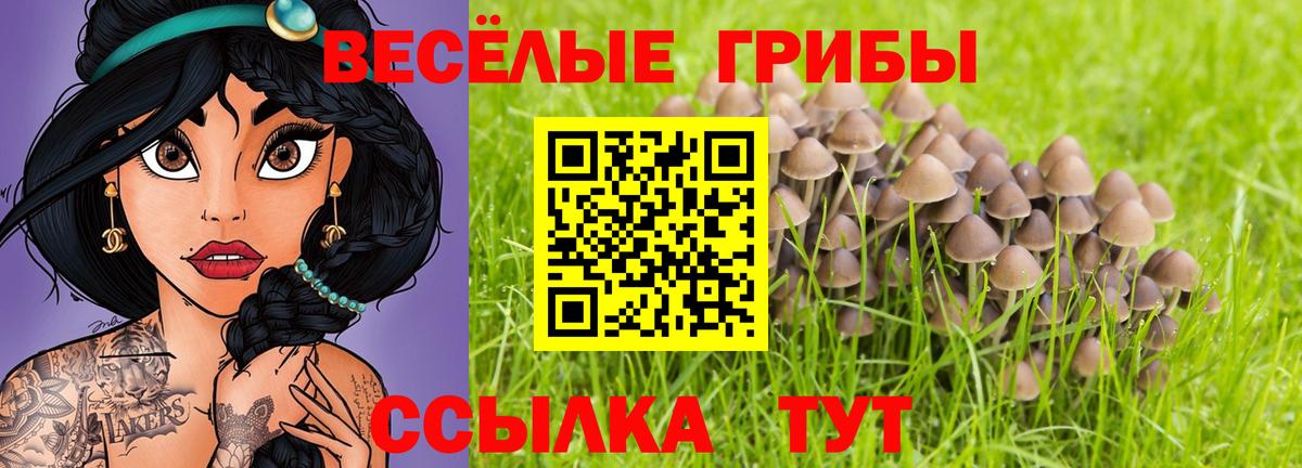 Галлюциногенные грибы GOLDEN TEACHER  купить  сайты  Серов  Галлюциногенные грибы Magic Shrooms  Вход с VPN 